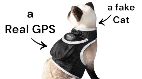 Collar Mount GPS Pet Tag Tracker Portable Realtime Tracking System w/ Phone App Size:L