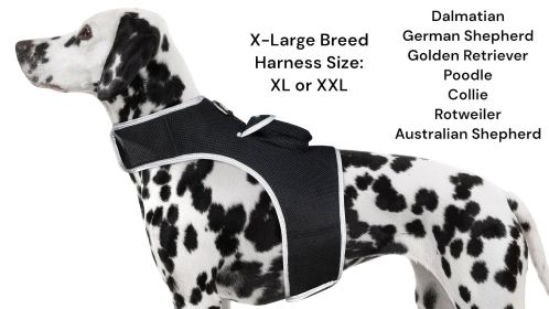 All New Realtime GPS Tracking for Pets Waterproof Rechargeable Tracker Size:L